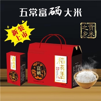 五常亿尧五常大米精品稻花香富硒大米礼盒装（10斤)