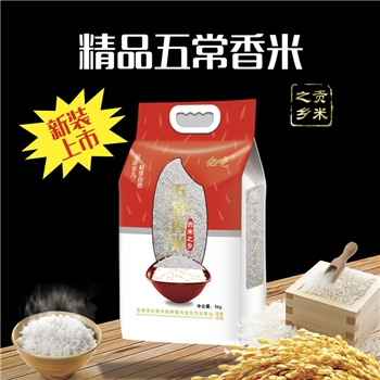 五常亿尧精品五常大米五常香米普惠装（10斤）