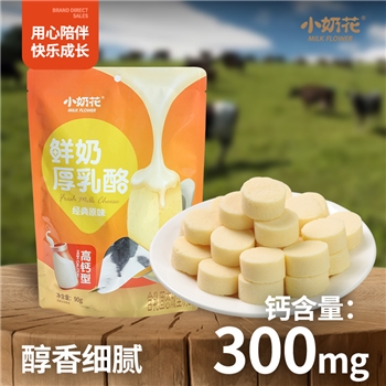 【高钙含蛋白】小奶花其嘉鲜奶厚乳酪果粒杯奶酪儿童零食90g*2袋