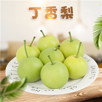 云南红河丁香梨 2025新果