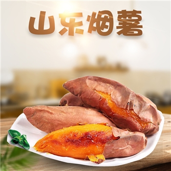 烟薯25号 烤地瓜专用