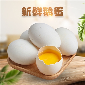 广东新鲜鹅蛋