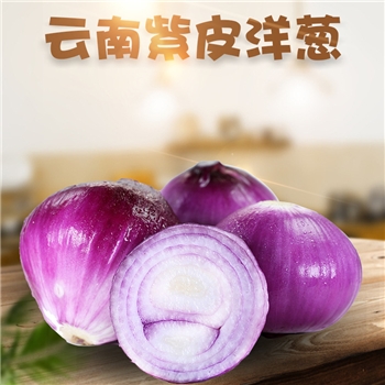 云南紫皮洋葱