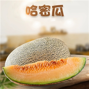 海南哈密瓜 （西州蜜）