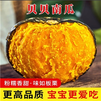 云南大贝贝南瓜