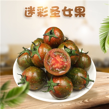 山东寿光迷彩圣女果 （红绿色）