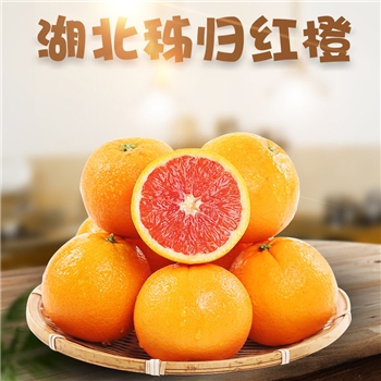 湖北中华红血橙