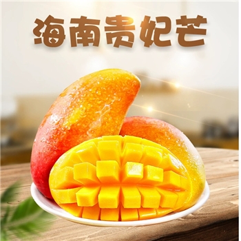 海南贵妃芒