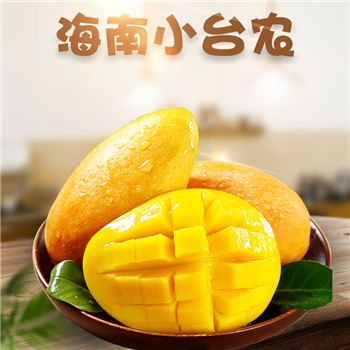 海南台农芒果