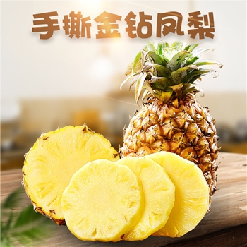 海南金钻凤梨