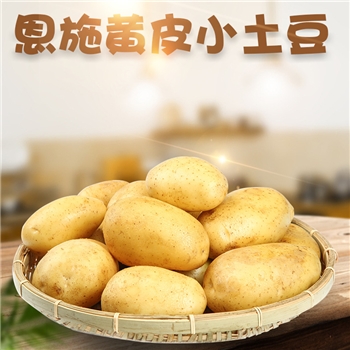 湖北恩施黄皮小土豆