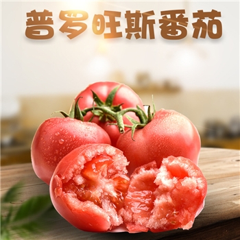 陕西普罗旺斯水果西红柿