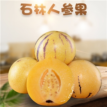 云南石林人参果 （树上熟圆果）