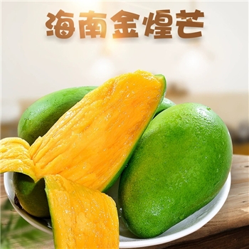 海南金煌芒（黄皮）
