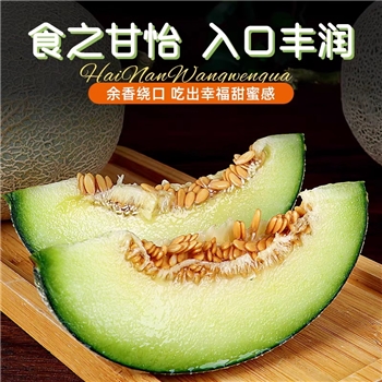 海南玫珑瓜 （网纹瓜）
