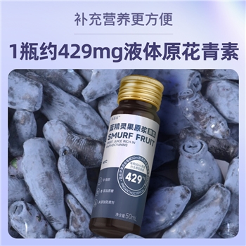 【网红新品种果汁】 蓝精灵果蔬汁饮料 无添加防腐剂蓝莓果浆花青素饮品
