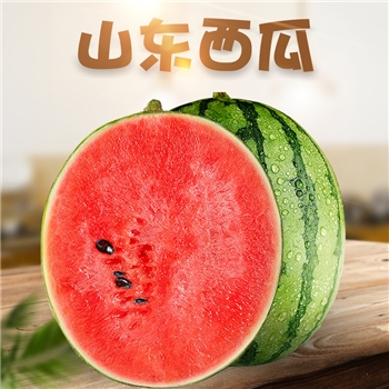 【顺丰彩箱】山东2K手撕小糖丸西瓜