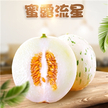  山东蜜露流星甜瓜 网红爆款又名月露、梦露