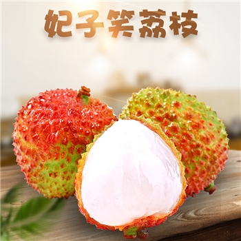 妃子笑荔枝 顺丰冷链