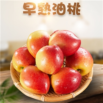 山东红皮黄肉油桃