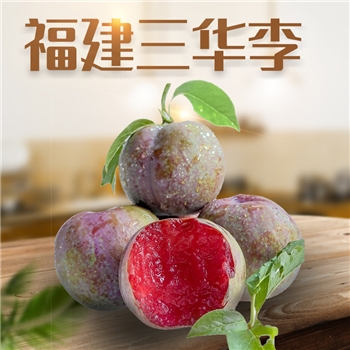 福建三华李