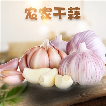 山东金乡多瓣大蒜 （干蒜）