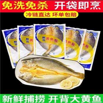 【霞浦】福建宁德新鲜活鱼冷冻对开黄鱼鲞490g*5条 免杀免洗新鲜大黄鱼