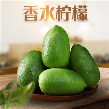 广西子弹头香水柠檬 新鲜应季酸爽多汁青柠果新鲜水果