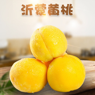 山东沂蒙水蜜桃 （黄毛桃）