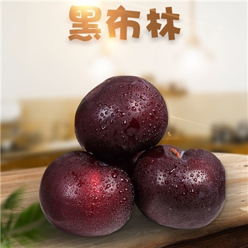 陕西黑布林李子