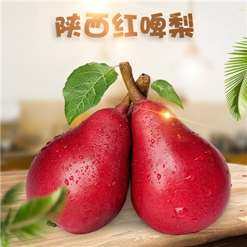 陕西红啤梨