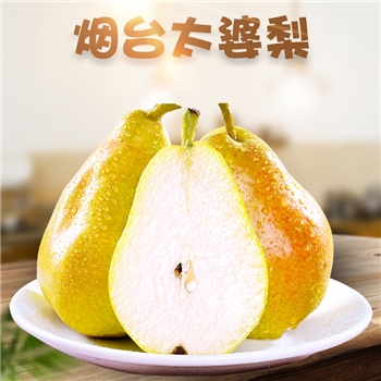 山东烟台太婆梨 （一面红）