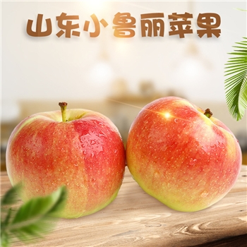 山东小鲁丽苹果 2025年新果