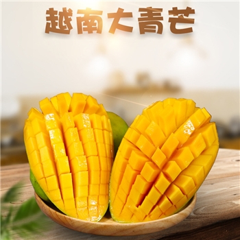 进口越南大青芒 （黄皮青皮随机） 生吃熟吃皆可