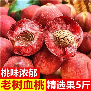 河南南阳血桃水蜜桃