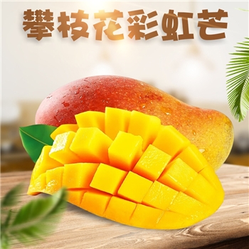 四川攀枝花彩虹芒
