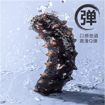大连海参鲜活冷冻水产