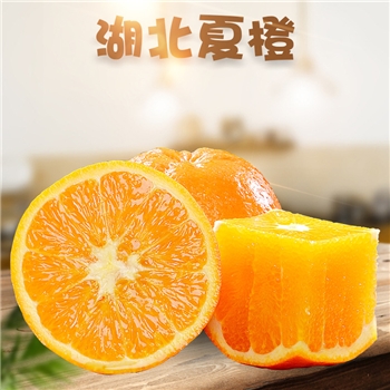 湖北夏橙