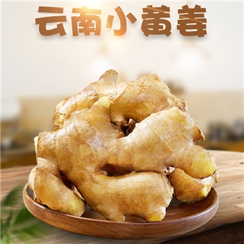 云南小黄姜