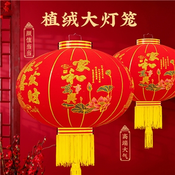 2025蛇大红灯笼挂饰过年阳台大门口一对福字灯笼户外春节新年装饰