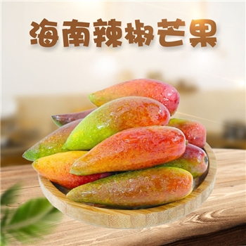 海南辣椒芒 （产量少）