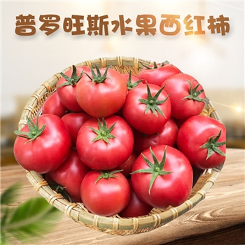 山东烟台 普罗旺斯水果西红柿