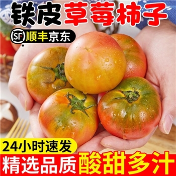 丹东铁皮草莓柿子即食新鲜水果应季自然熟