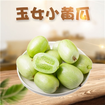 潍坊玉女小黄瓜 （又名：拇指黄瓜）