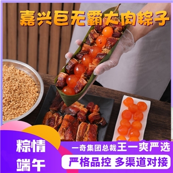 【万华丰年】 嘉兴黑猪鲜肉巨无霸粽 【250g/只】 金色铝箔袋