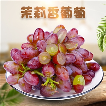 云南茉莉香葡萄