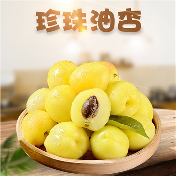 【顺丰】河南珍珠油杏 