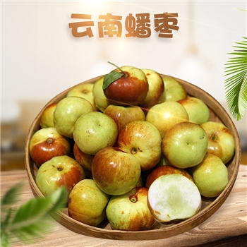 云南蒙自蟠枣