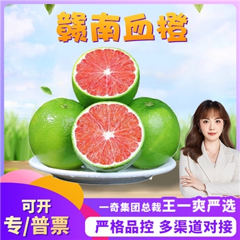 赣南血橙 精品，甜度好