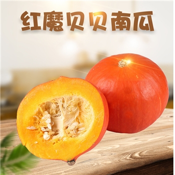 小红魔贝贝南瓜